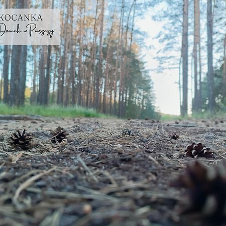 Domek W Puszczy ,,Kocanka" Mezyk Bagian luar foto