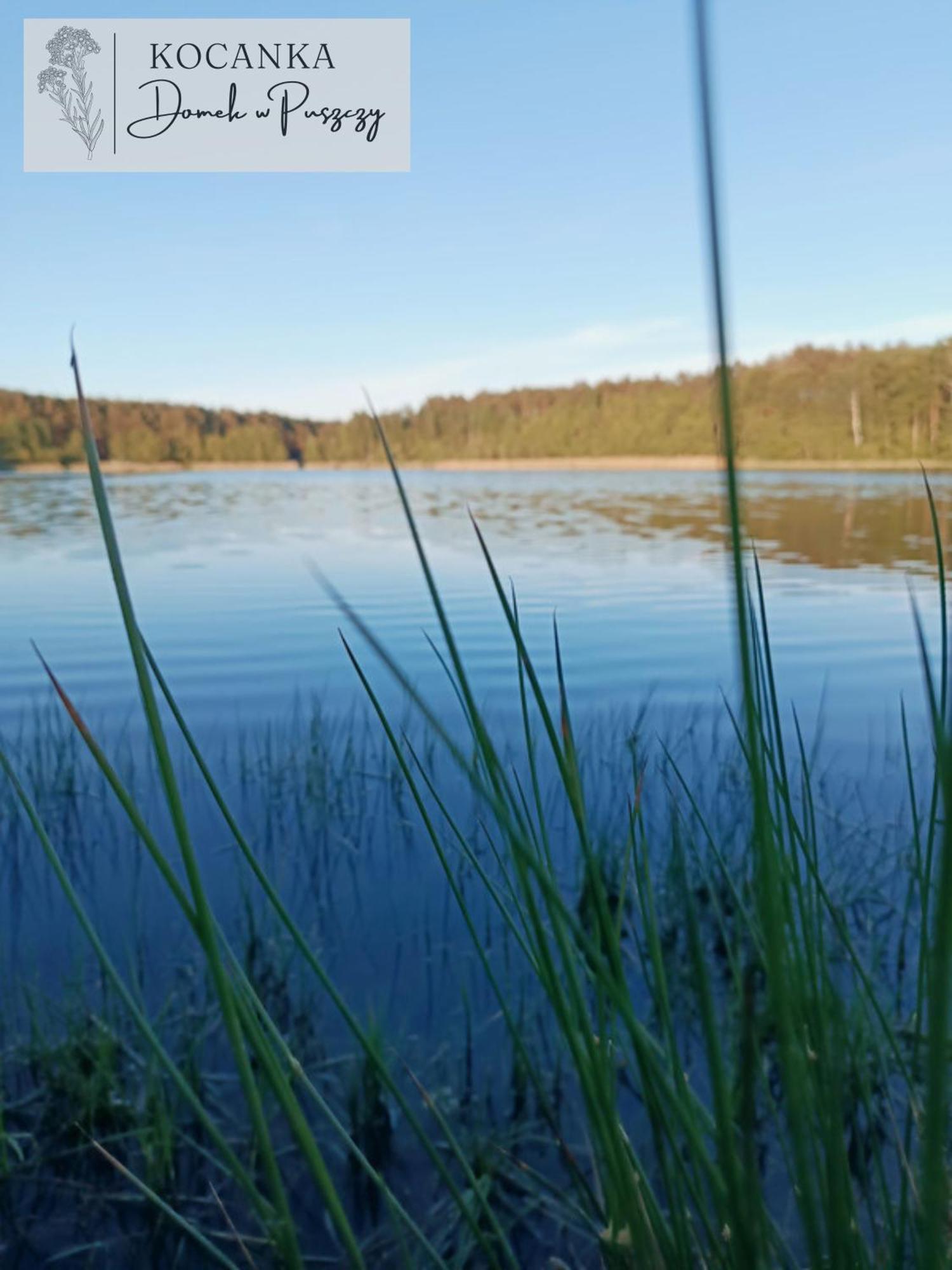 Domek W Puszczy ,,Kocanka" Mezyk Bagian luar foto